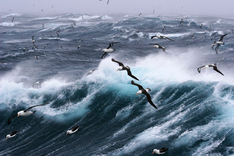 Atlantic Ocean: it covers 20 percent of the Earth's surface and connects to all other four oceans | Photo: Nando/Creative Commons