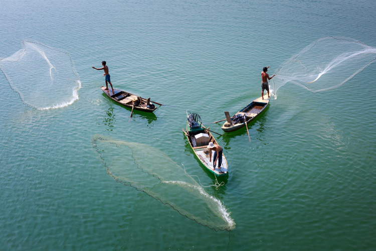 Fishing: chumming is the practice of throwing fresh pieces of bait fish with blood and bone overboard to attract marine animals | Photo: Nguyen Vinh/Creative Commons