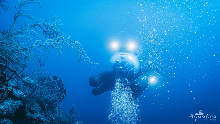 Great Blue Hole: at 300 feet deep, a layer of hydrogen sulfide makes life impossible due to the absence of oxygen | Photo: Travel Belize/Aquatica Submarines