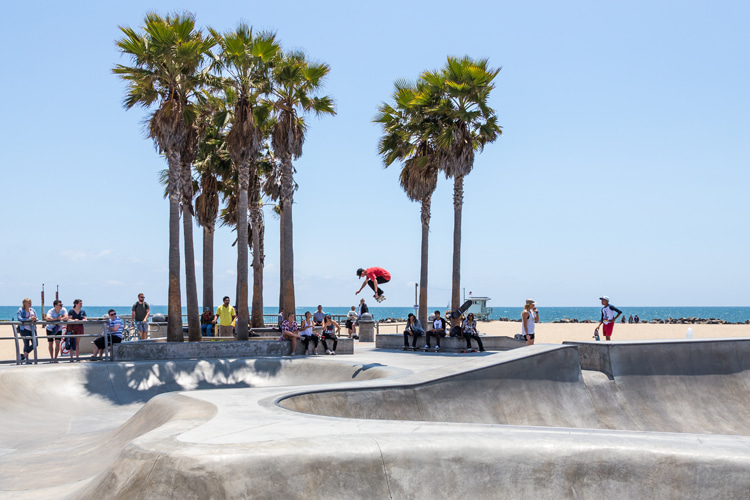 Skateparks: not all sidewalk surfing arenas are equal | Photo: Shutterstock