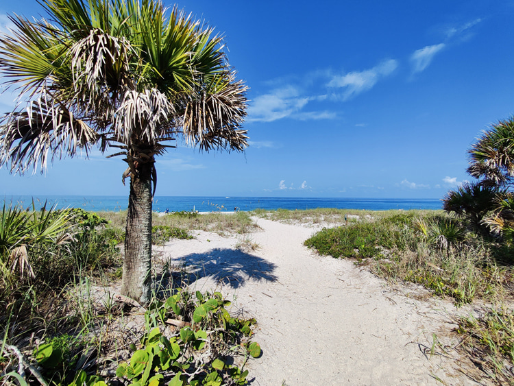 Manasota Beach: a small Floridian skimboarding paradise | Photo: Mikey Sanderlin