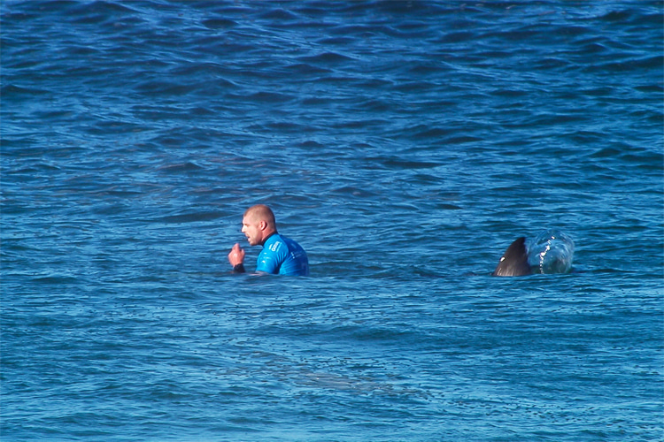 Mick Fanning: on July 19, 2015, the Australian surfer was attacked by a great white shark at Jeffreys Bay, South Africa | Photo: WSL