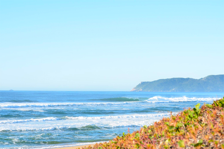 Mozambique: the African capital of right-hand point breaks | Photo: Associação de Surf de Moçambique