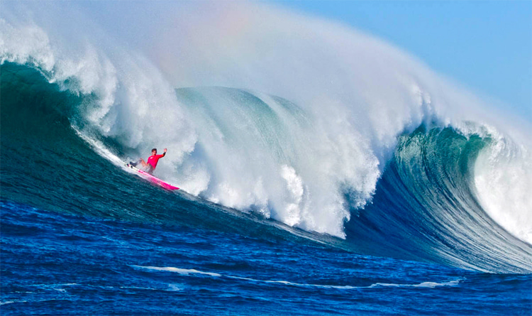 Nelscott Reef: the home of the original big wave contest run by John Forse | Photo: nelscottreef.com