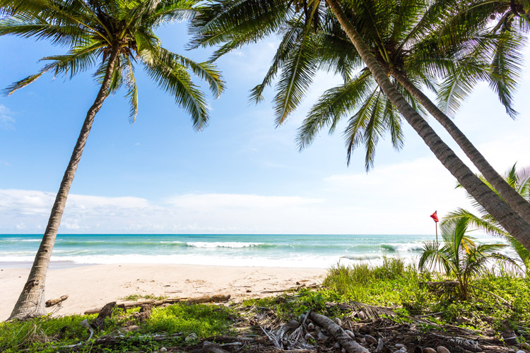 Playa Santa Teresa: a white sand, tropical beach with consistent and hollow waves