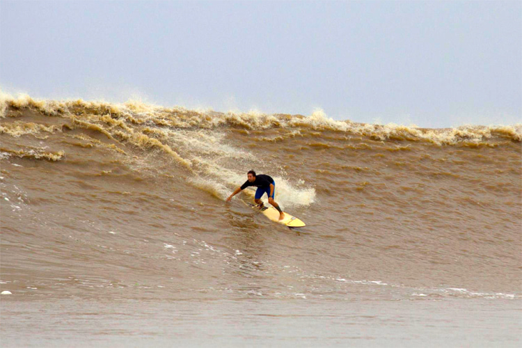 Pororoca: a rare natural phenomenon that might only provide waves like this twice a year | Photo: Laus Archive