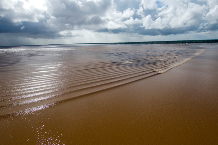 Pororoca: a mighty tidal surge that was first documented by Jacques Costeau in 1982 | Photo: JMC Ocean Adventures