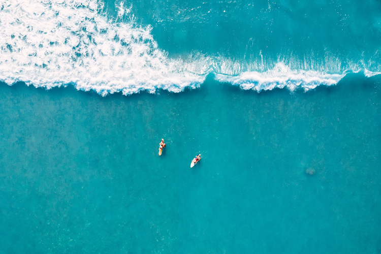 Wave: a fluid word with many synonyms | Photo: Shutterstock