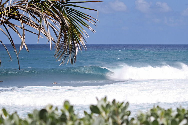 Soup Bowl: a heavy, thick-lipped wave that can hold a blue barrel up to 10 feet | Photo: WSL