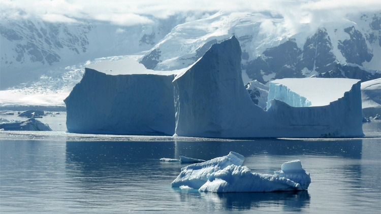 The Southern Ocean