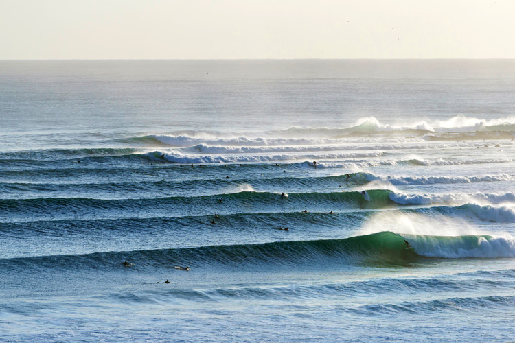 Swell: waves travel in train carriages