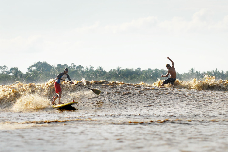 The Benak: the Malaysian tidal bore can be surfed for several miles | Photo: Abadi/Sarawak Tourism Board