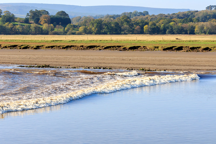 Tidal bore: a rare and often violent phenomenon | Photo: Shutterstock