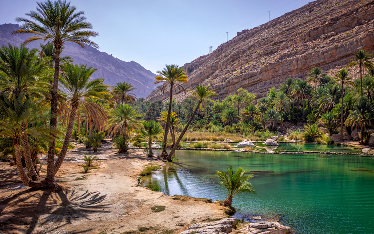 Wadi Bani Khalid: one of the most beautiful oases in the world | Photo: Gao/Creative Commons